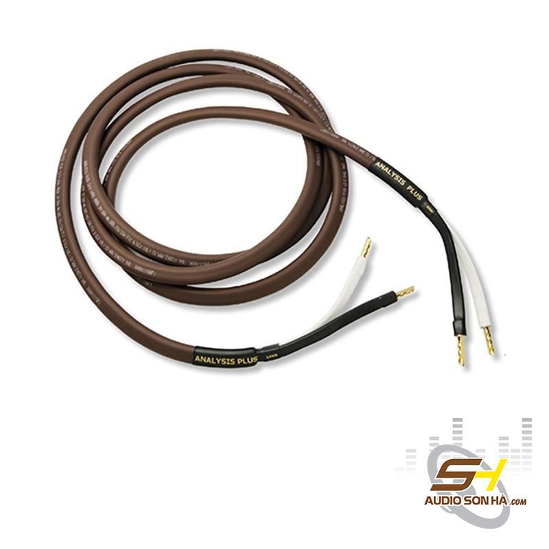 Dây Loa Analysis Oval 12/2/ 2.4m