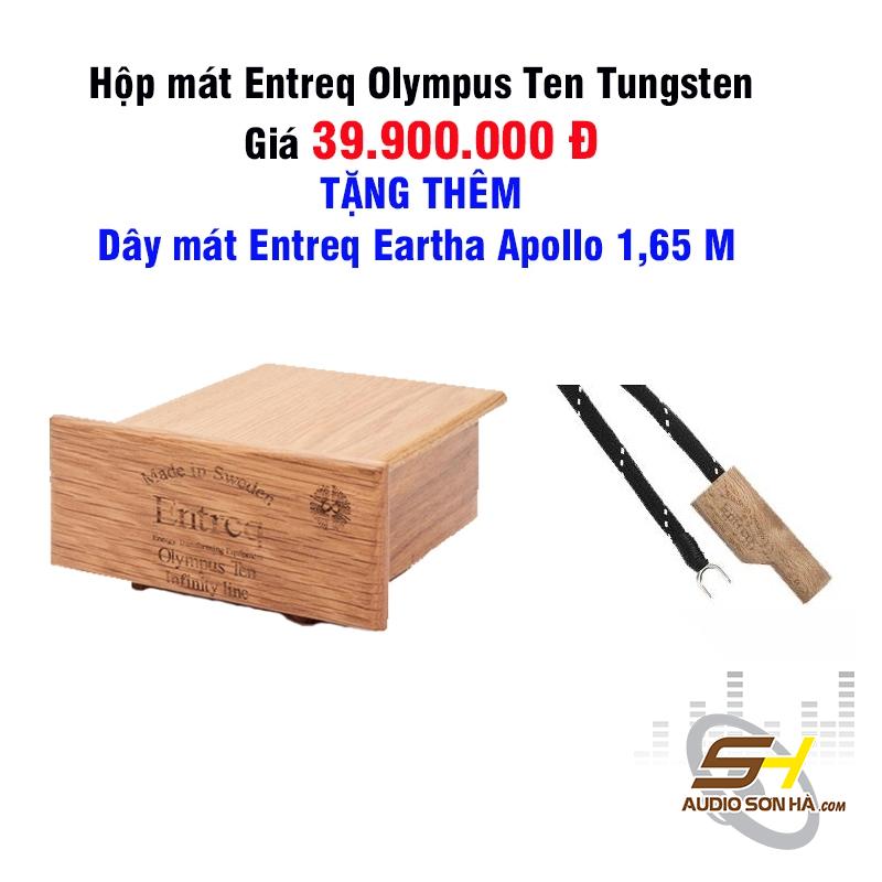 Hộp mát Entreq Olympus Ten Tungsten - Tăng cường xả mát cho hệ thống âm thanh