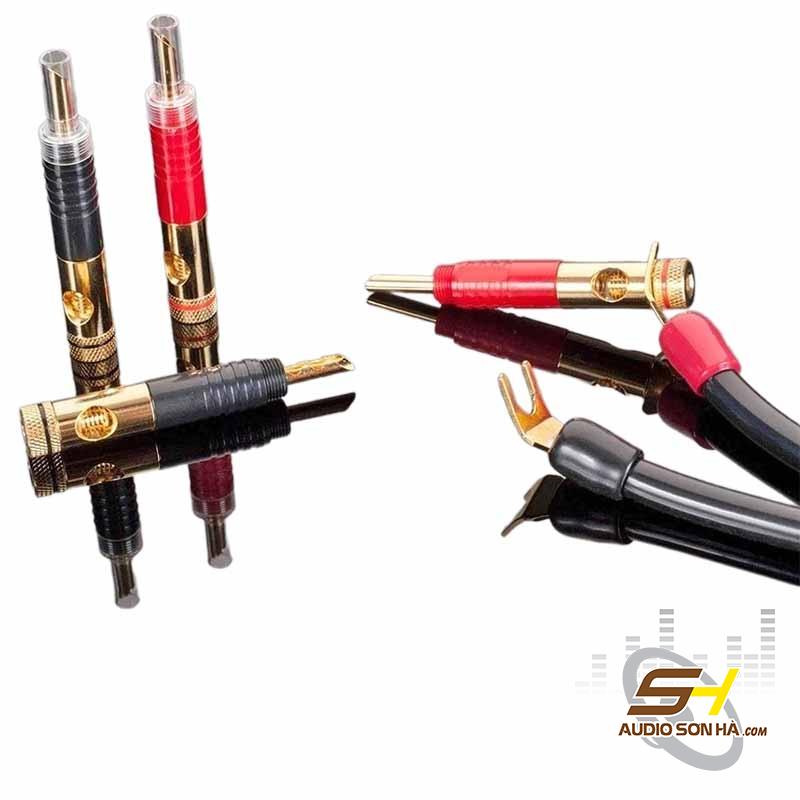 Jack Transparent Spade to BFA