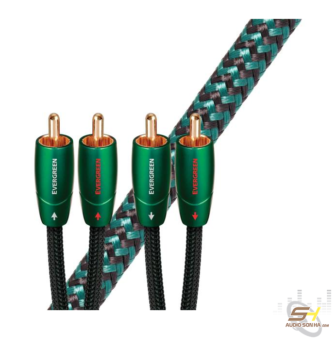 Dây RCA AudioQuest Evergreen 1.5m