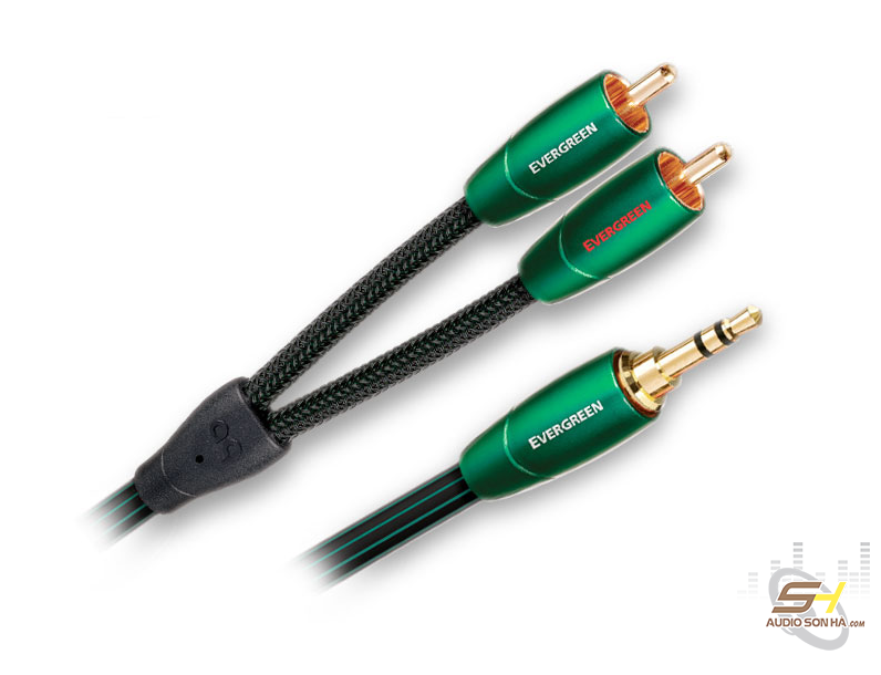 Dây 3.5mm - RCA AudioQuest Evergreen 1m