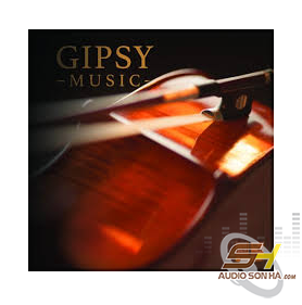 Băng Cối Gipsy Music STS Digital (7 inch)