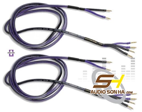 Dây Loa Analysis Clear Oval/ 2.4m