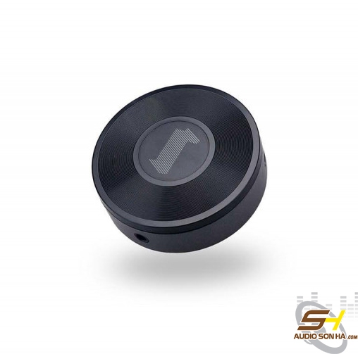 Thiết bị kết nối loa không dây Transparent wifi module