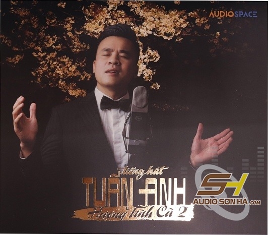 CD Tuấn Anh, Hương tình cũ 2