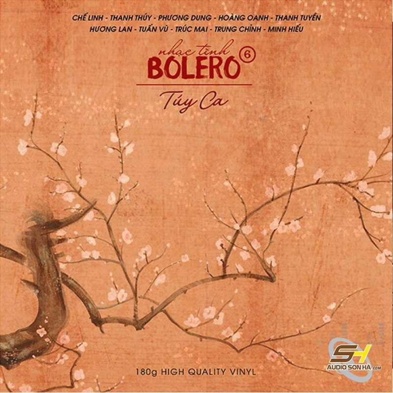 Đĩa LP Bolero 6 - Tuý Ca