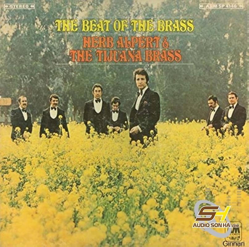 ĐĨA LP Herb Alpert & The Tijuana Brass – The Beat Of The Brass