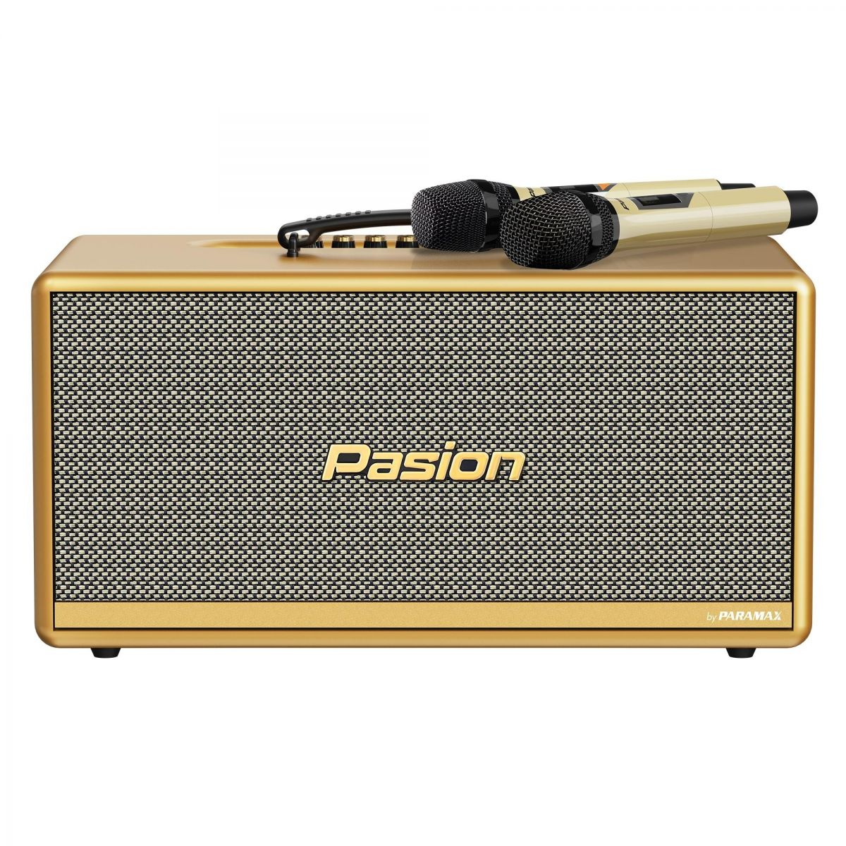 loa_di_dong_xach_tay_Pasion_2c_P.jpg