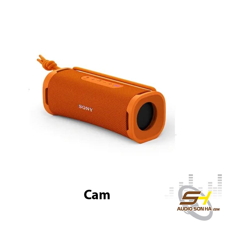 Loa không dây Sony SRS-ULT 10