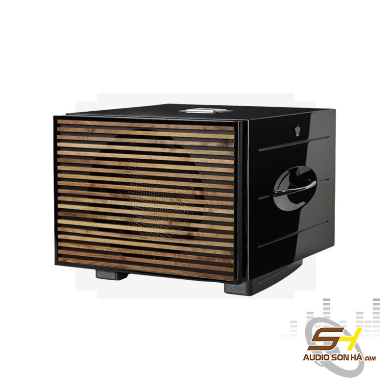 Loa Sub REL Carbon Special Black Label