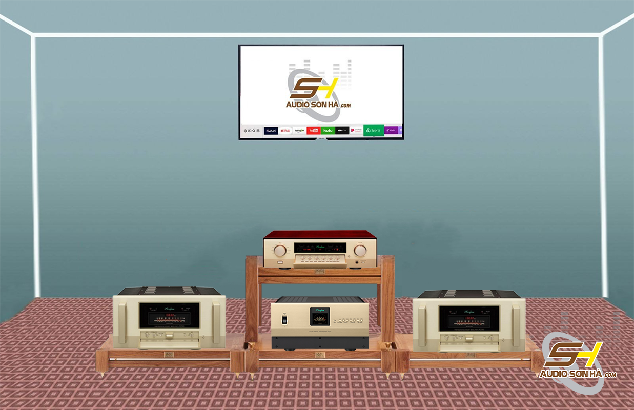 Accuphase Power monoblock A250& preamplifier C2850 