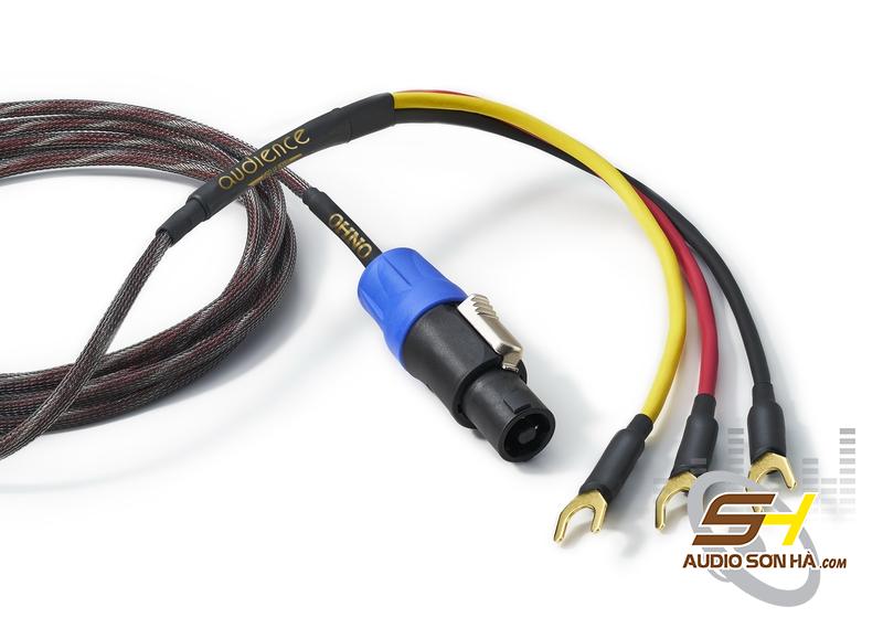 Dây Sub Audience OHNO REL 1.5m