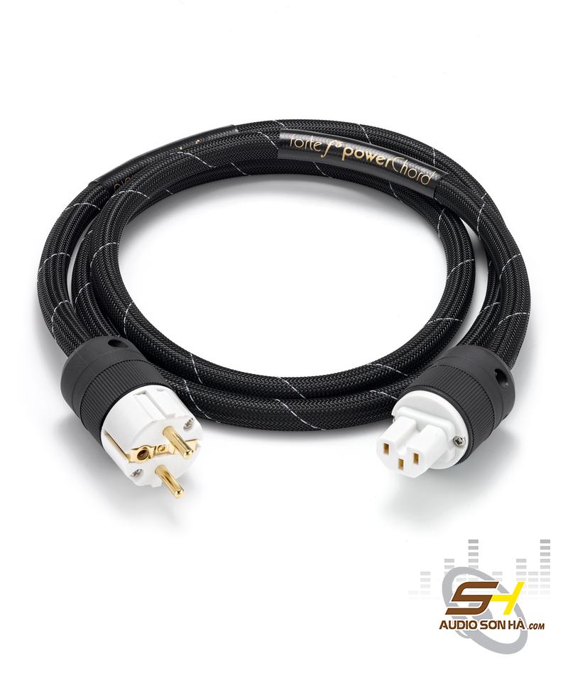 Audience PowerChord forte f5 powerChord 1.75m