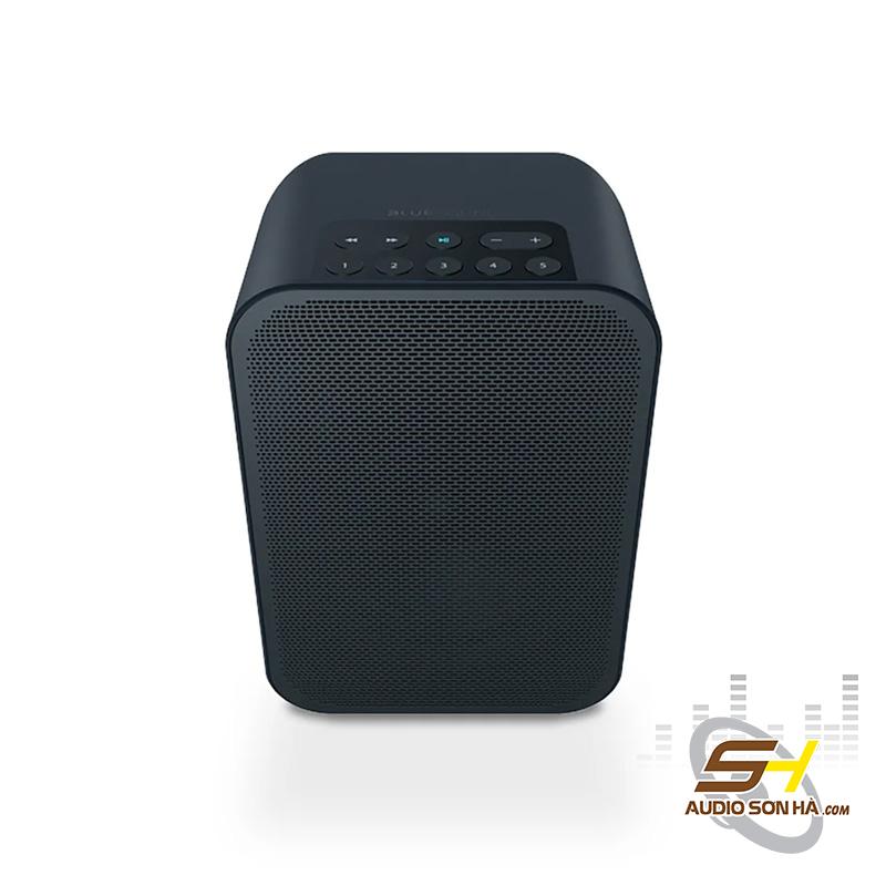 Bluesound PULSE FLEX 2i – Loa Không Dây Hi-Res Bluetooth & Wi-Fi Đa Phòng