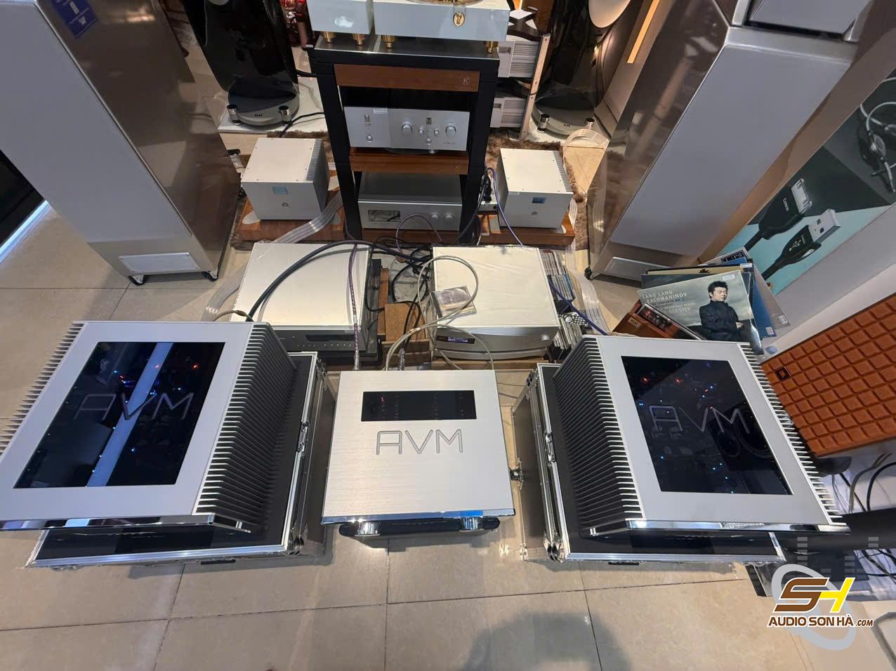 Combo Power Mono MA 8.3 + PrePreamplifier AVM OVATION PA 8.3