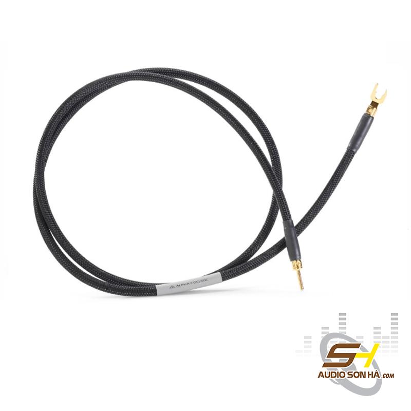 Dây Tiếp Địa Shunyata Alpha Ground Cable-1m