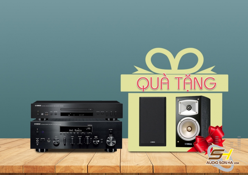 Hệ thống nghe nhạc Yamaha R-N803 và CD-S300