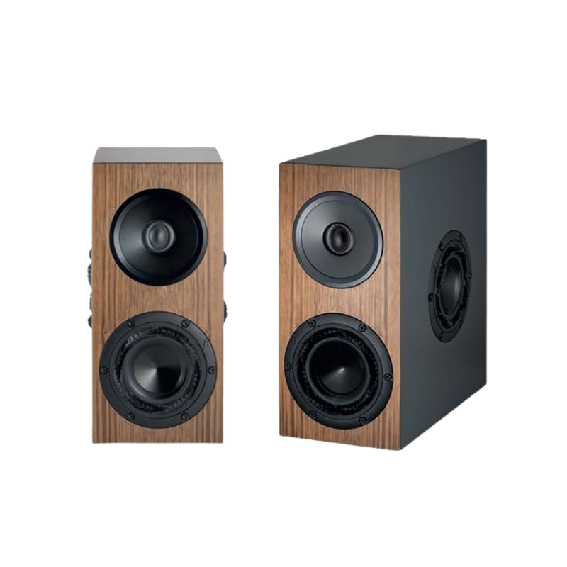 Loa Kaiser Colibri Loa hai chiều, Loa trầm Purifi 4“ tùy chỉnh với hình nón nhôm
