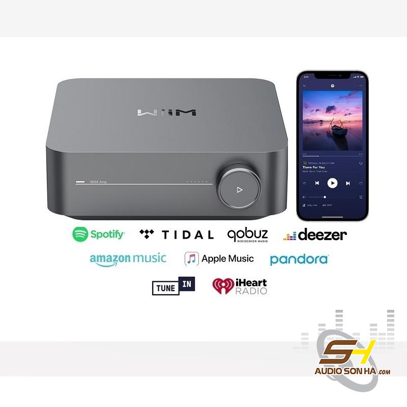 Music Streaming Ampli Stereo WiiM Amp